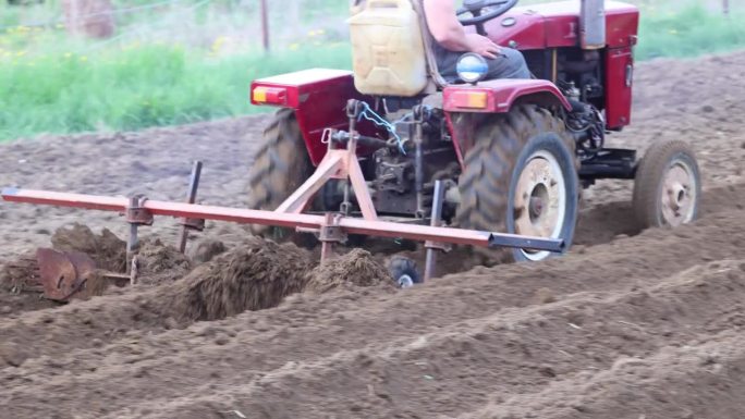 耙耕机是由小型拖拉机连接而成，用于农田马铃薯田的翻耕。