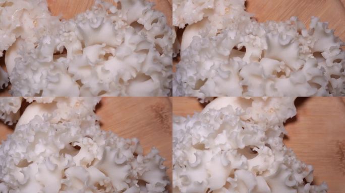蘑菇绣球菌菌菇 (2)