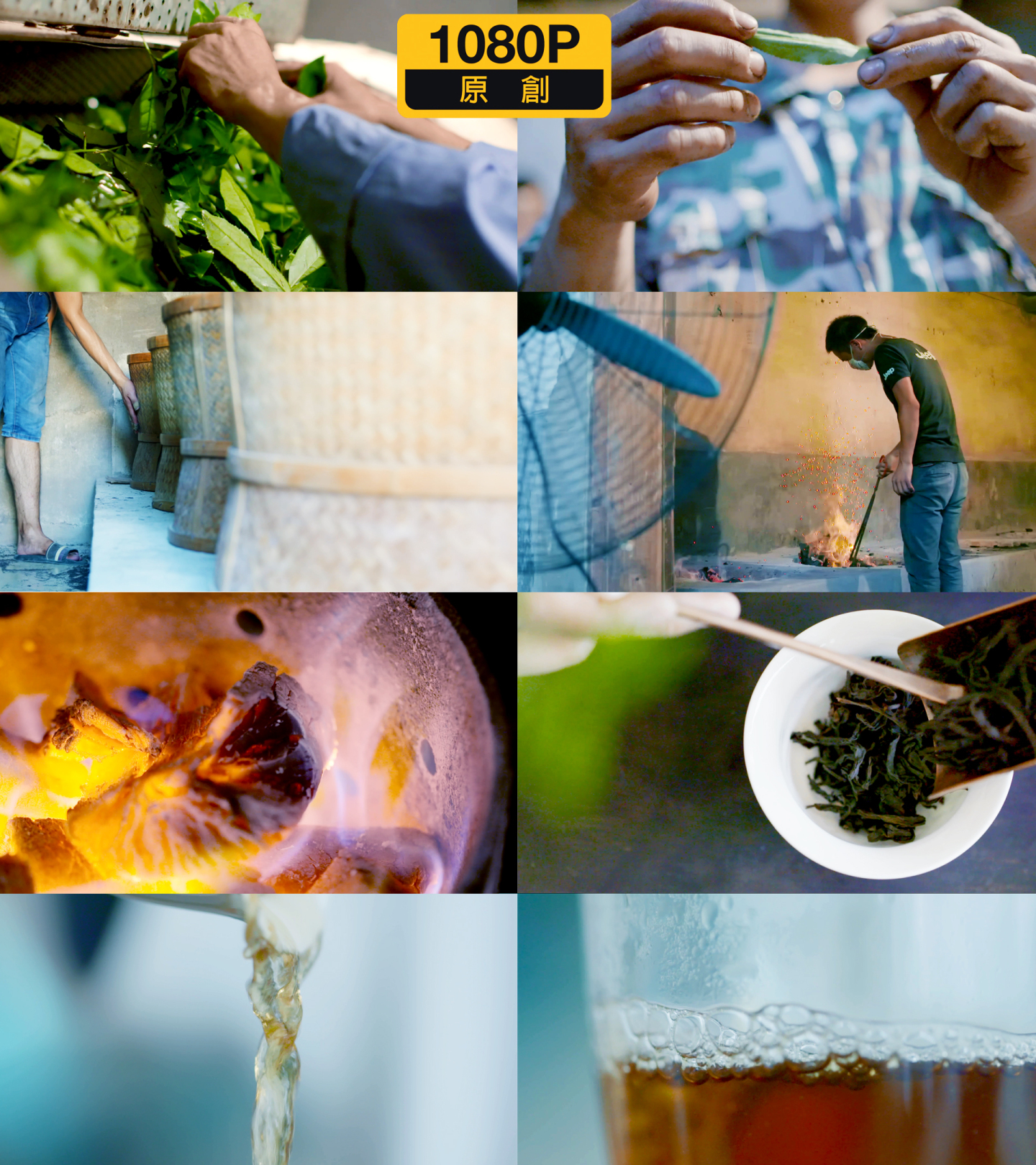乌龙茶茶叶制作中国茶