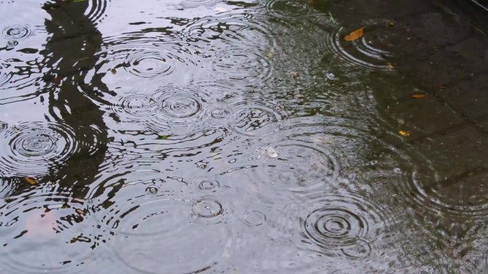 城市马路下雨天雨水雨滴大自然风景风光雨景