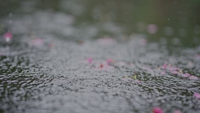 倾盆大雨滴落地面花瓣石凳4k实拍