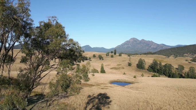 澳大利亚昆士兰州，风景秀丽的边缘地区，大分水岭附近，被桉树包围的农田