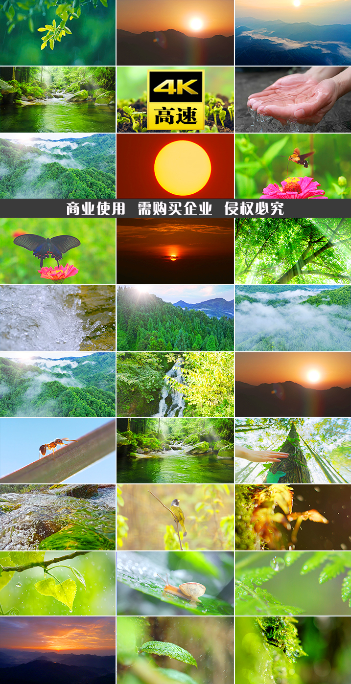 水阳光动物水滴滴水山河小鸟鸟溪流水流瀑布