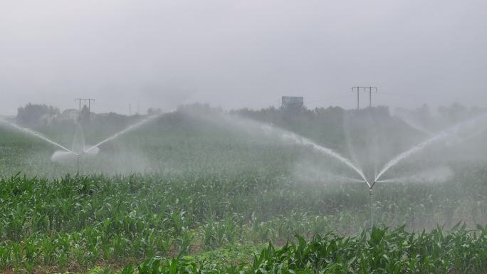4k航拍麦田农作物玉米地灌溉设备