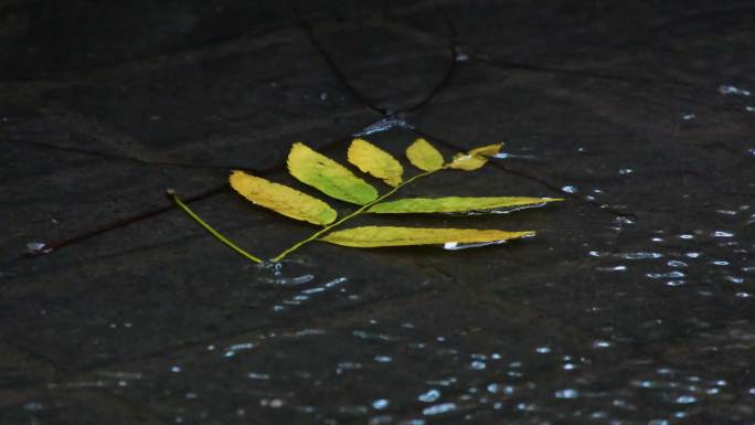 城市马路下雨天雨水雨滴大自然风景风光雨景