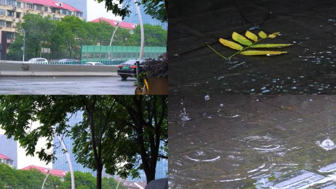 城市马路下雨天雨水雨滴大自然风景风光雨景