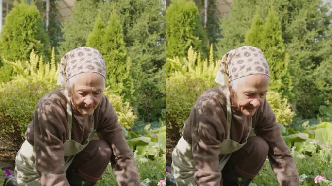 奶奶在后花园工作休闲活动健康生活爱心种植