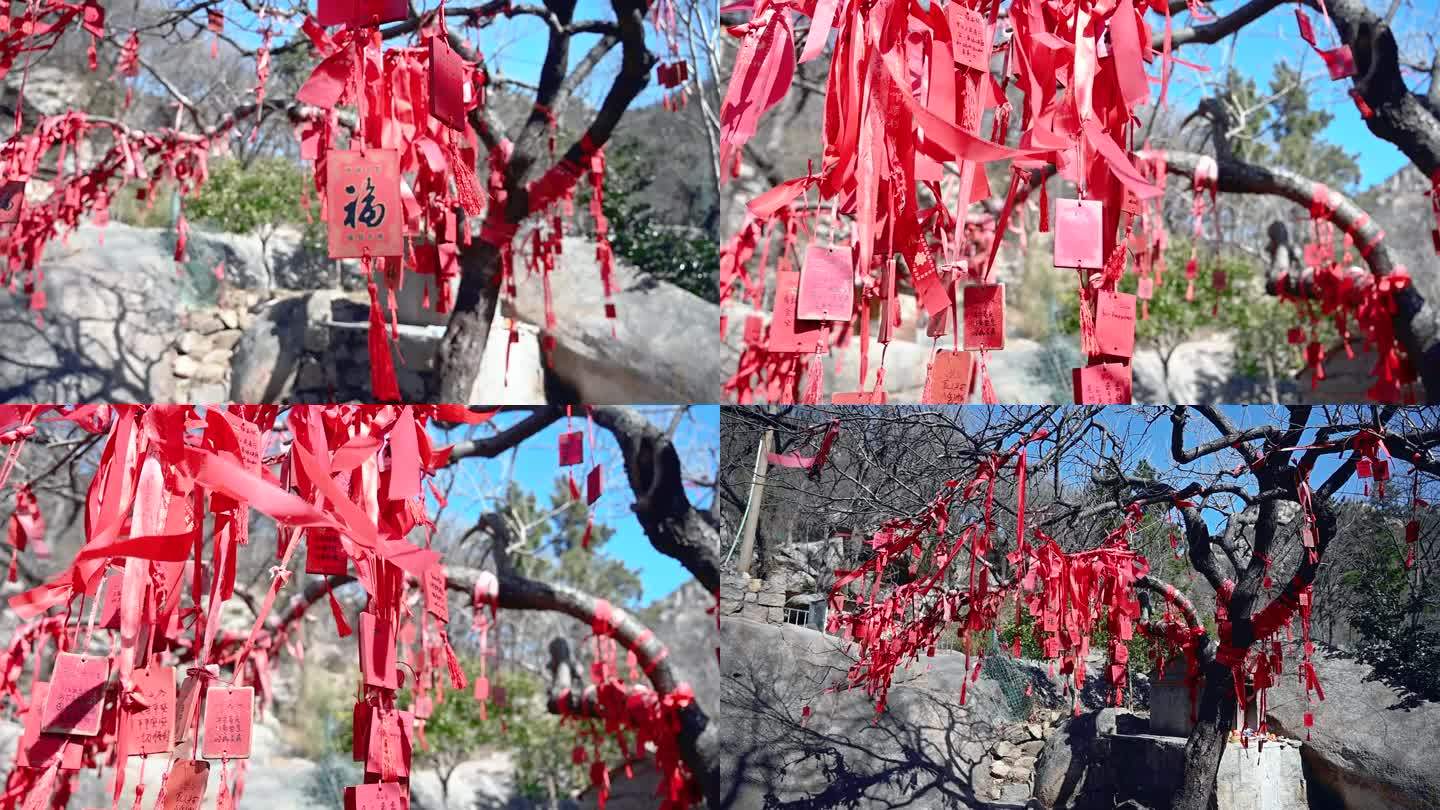祈福树上飘荡的红丝带