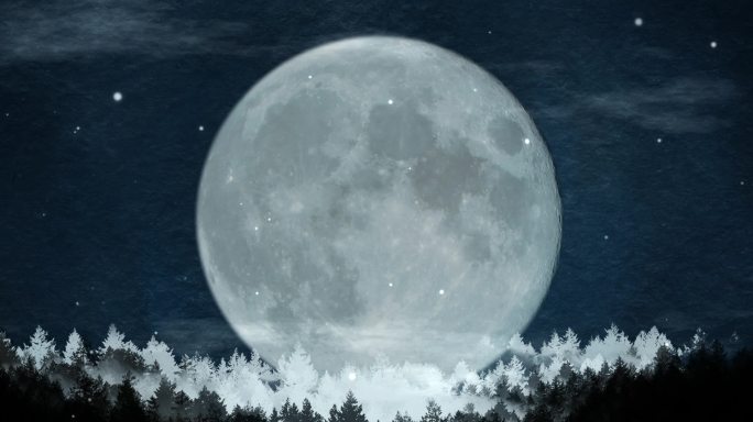 树林月亮