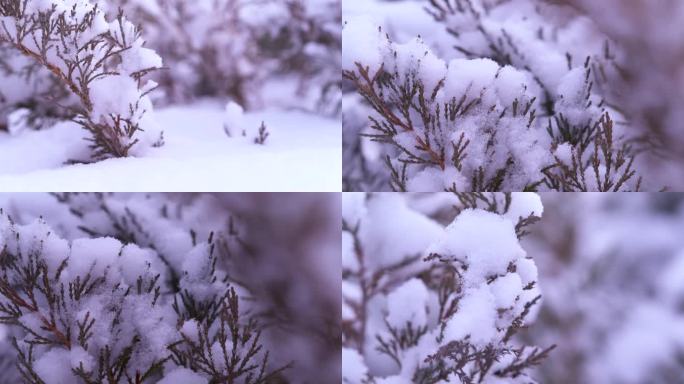 【4K原创素材】 冬季大雪空镜头