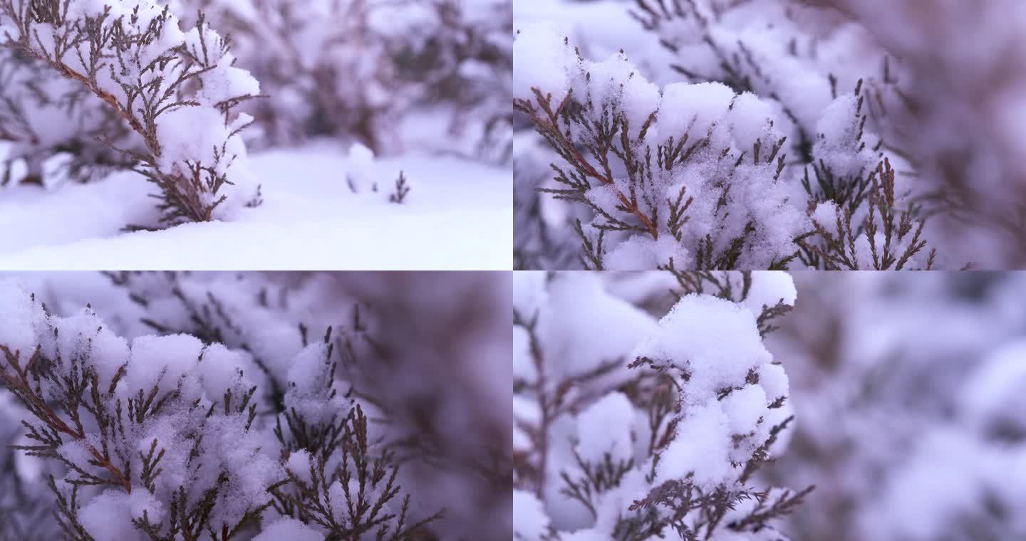 【4K原创素材】 冬季大雪空镜头