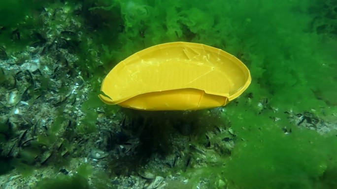 海洋的塑料污染:一次性塑料盘子慢慢沉入海底。