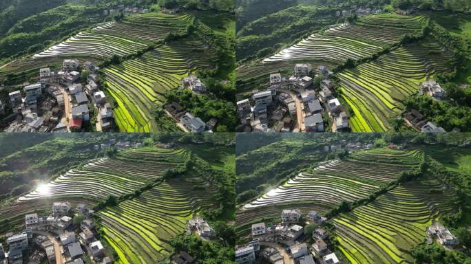 广东梅州大埔县坪山梯田3A景区