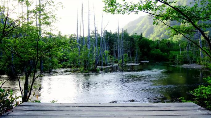 清晨的Dakesawa沼泽地，河声和鸟鸣，上高知七月