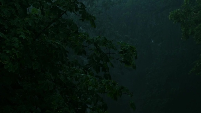 暴雨倾盆，夏季雷暴。绿色的树作为背景。多风多雨的天气，近距离拍摄带有散景的暗夜镜头。季节热带雨林风暴