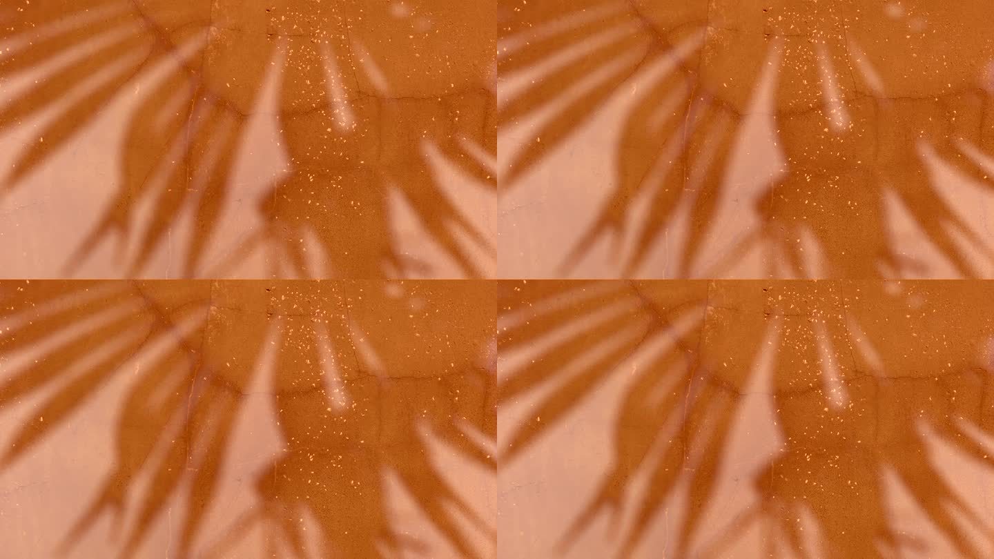 风中的棕榈叶的影子映在橘黄色的混凝土墙上，背景，背景