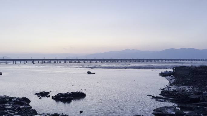 船 海 日落 飞鸟