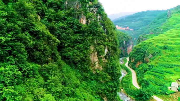 绿色山脉 清新生机 环保绿色