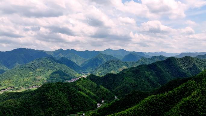 航拍杭州桐庐竹林竹海