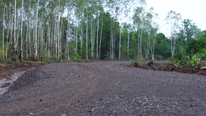 乡村公路，通往农场和花园的乡村公路