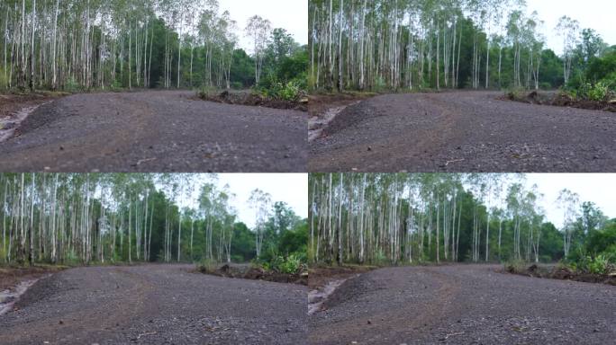 乡村公路，通往农场和花园的乡村公路