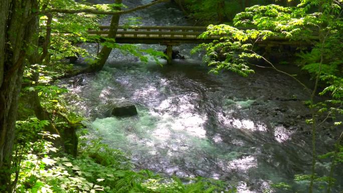 Oirase小溪上步行道上的木桥。/青森县武和市武和八幡台国立公园瓮濑峡谷