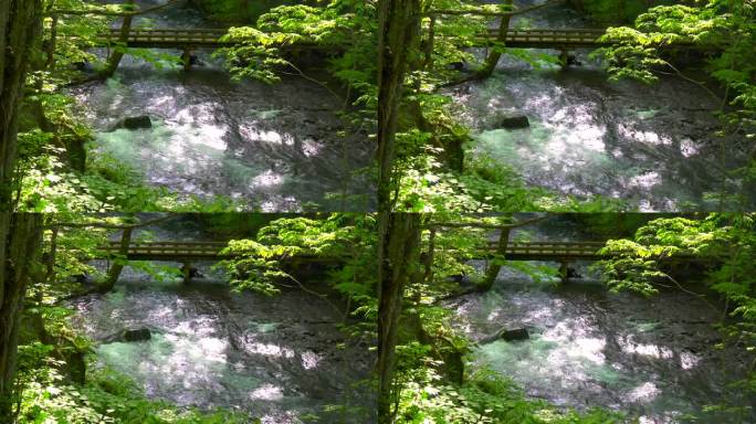 Oirase小溪上步行道上的木桥。/青森县武和市武和八幡台国立公园瓮濑峡谷