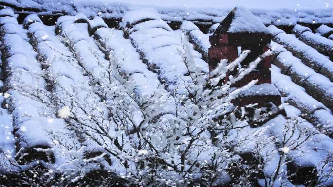 乡村瓦房雪树烟囱冬天暴雪视频素材