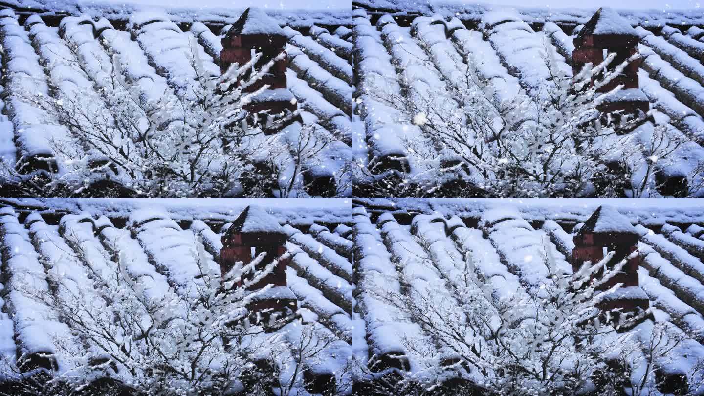 乡村瓦房雪树烟囱冬天暴雪视频素材