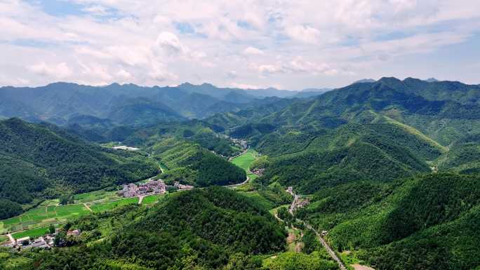 航拍江南浙江山区竹林竹海竹山