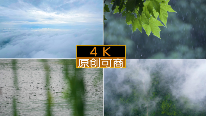 大自然雨水森林水滴植被滋润万物谷雨惊蛰春