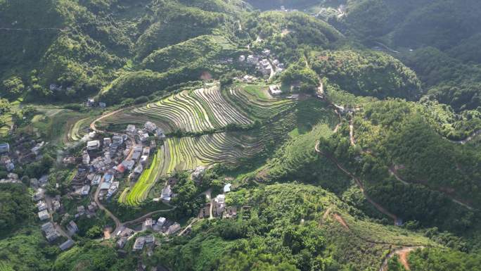 广东梅州大埔县坪山梯田3A景区