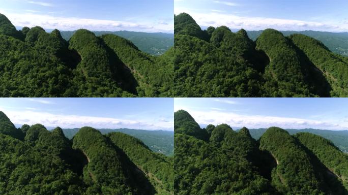 特色山顶绿植推进航拍