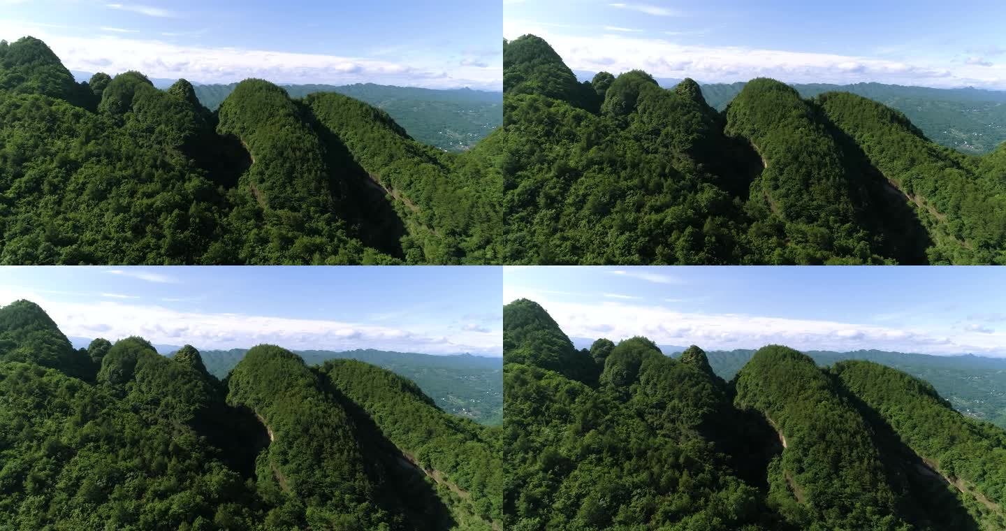 特色山顶绿植推进航拍