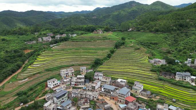 广东梅州大埔县坪山梯田3A景区