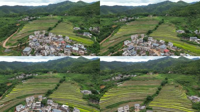 广东梅州大埔县坪山梯田3A景区