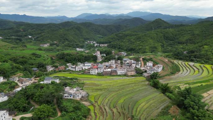 广东梅州大埔县坪山梯田3A景区