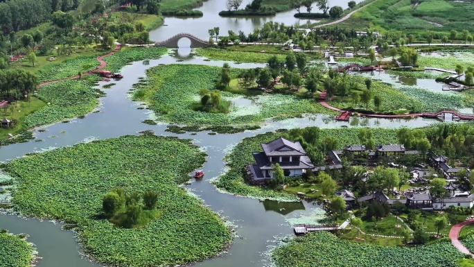 4K绿色湿地生态江南景观航拍