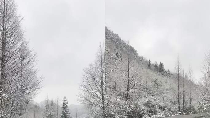 雪天自拍原创