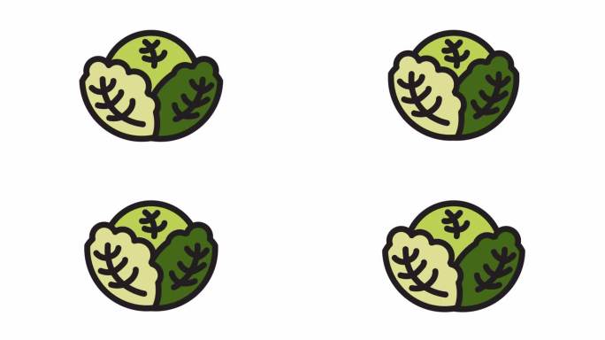 卷心菜，蔬菜透明背景上的动画图标。