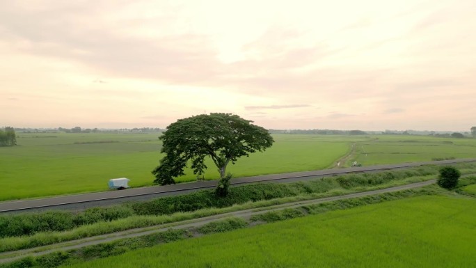 农村运动场景旅游的农业田野性质