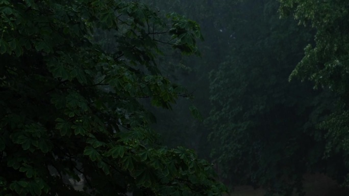 暴雨倾盆，夏季雷暴。绿色的树作为背景。多风多雨的天气，近距离拍摄带有散景的暗夜镜头。季节热带雨林风暴