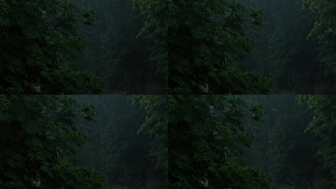 暴雨倾盆，夏季雷暴。绿色的树作为背景。多风多雨的天气，近距离拍摄带有散景的暗夜镜头。季节热带雨林风暴