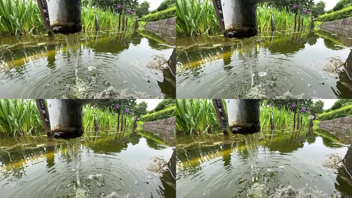 水从旧水管流入虹膜池塘的慢镜头