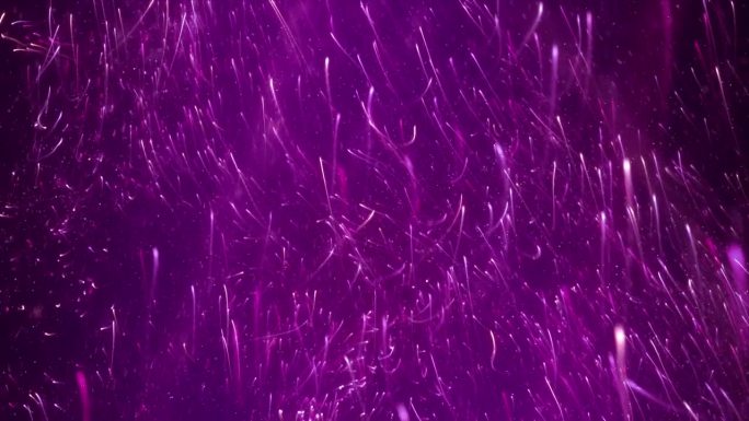 霓虹紫色粉红色能量光条纹粒子展示环背景