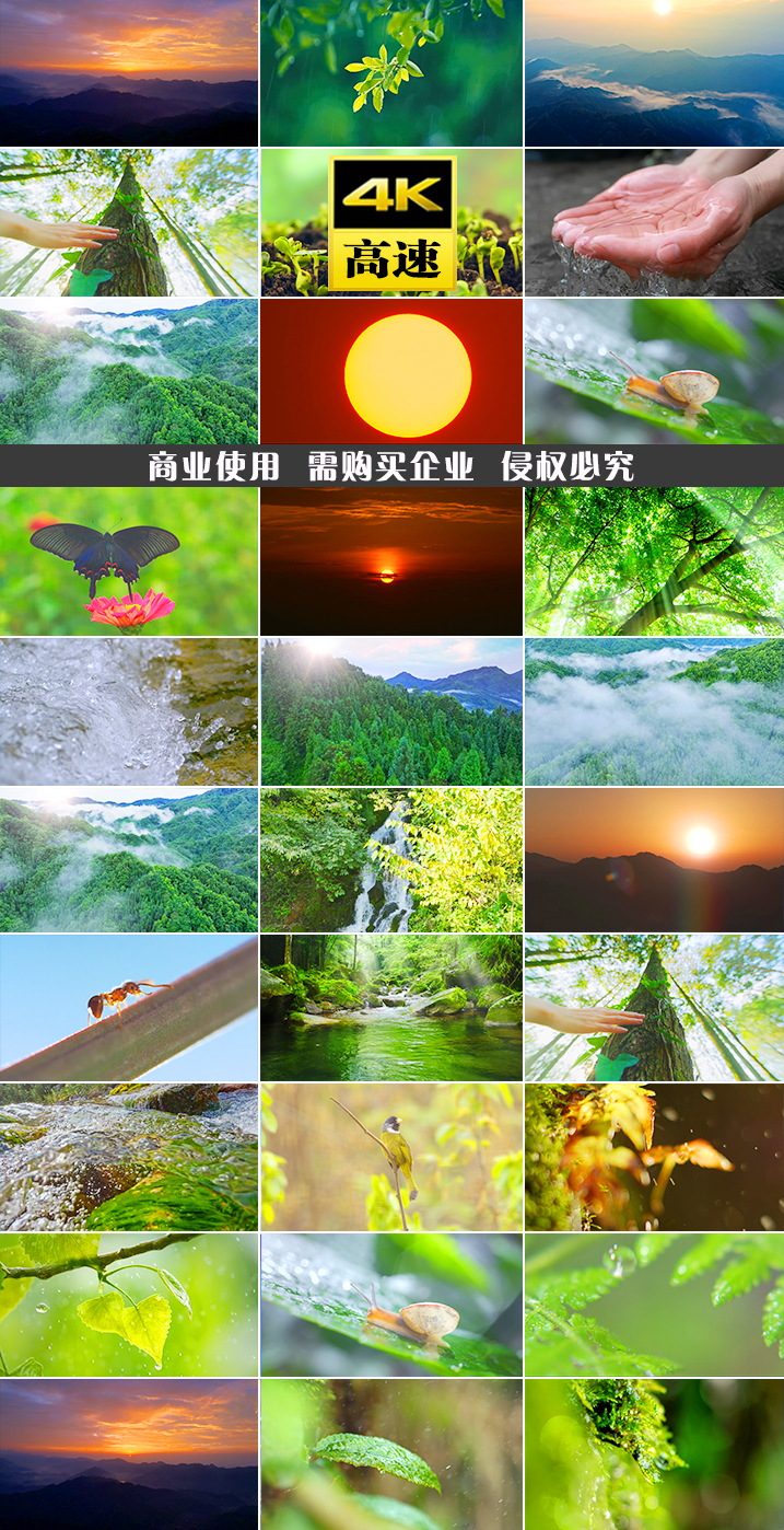 山山泉水溪水矿泉水植物雨林小溪云海泉水源