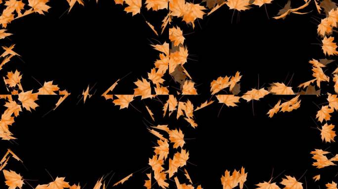 秋天的树叶覆盖在黑色的框架上