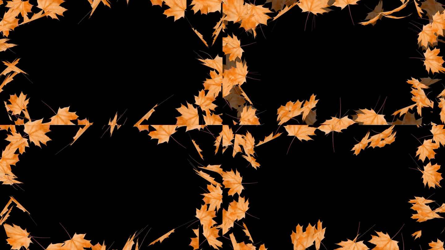 秋天的树叶覆盖在黑色的框架上