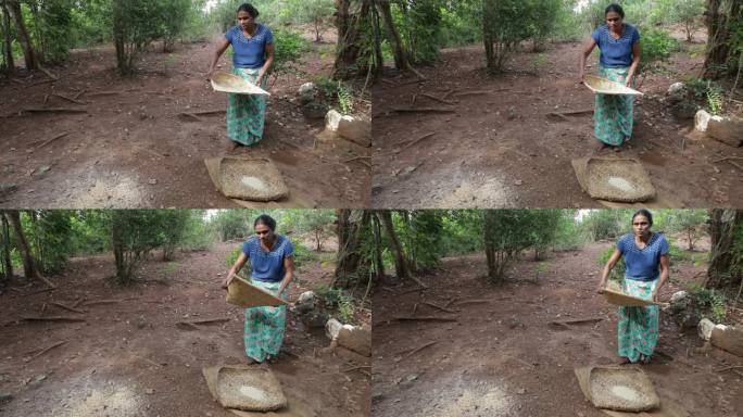 一名斯里兰卡妇女正在筛大米