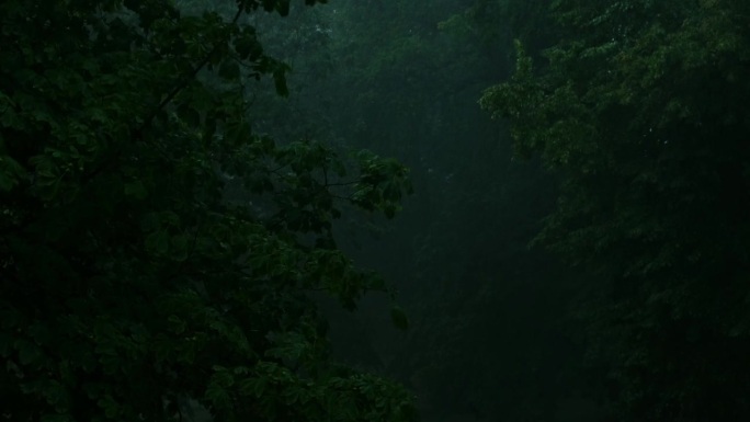 暴雨倾盆，夏季雷暴。绿色的树作为背景。多风多雨的天气，近距离拍摄带有散景的暗夜镜头。季节热带雨林风暴